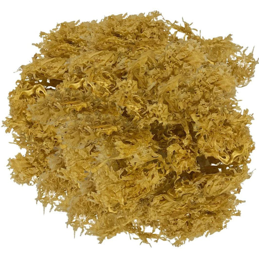 Crave Nutrients Wild-Harvested Golden Irish Sea Moss (Chondrus Crispus)