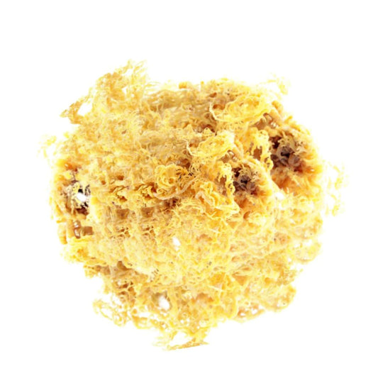 Crave Nutrients Wild-Harvested St. Lucian Golden Sea Moss (100% Sun-Dried)